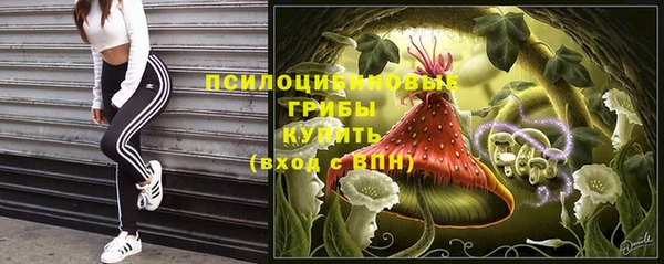 прущие грибы Алзамай