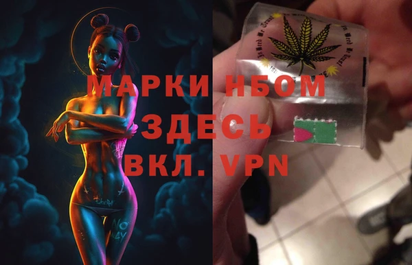 прущие грибы Алзамай